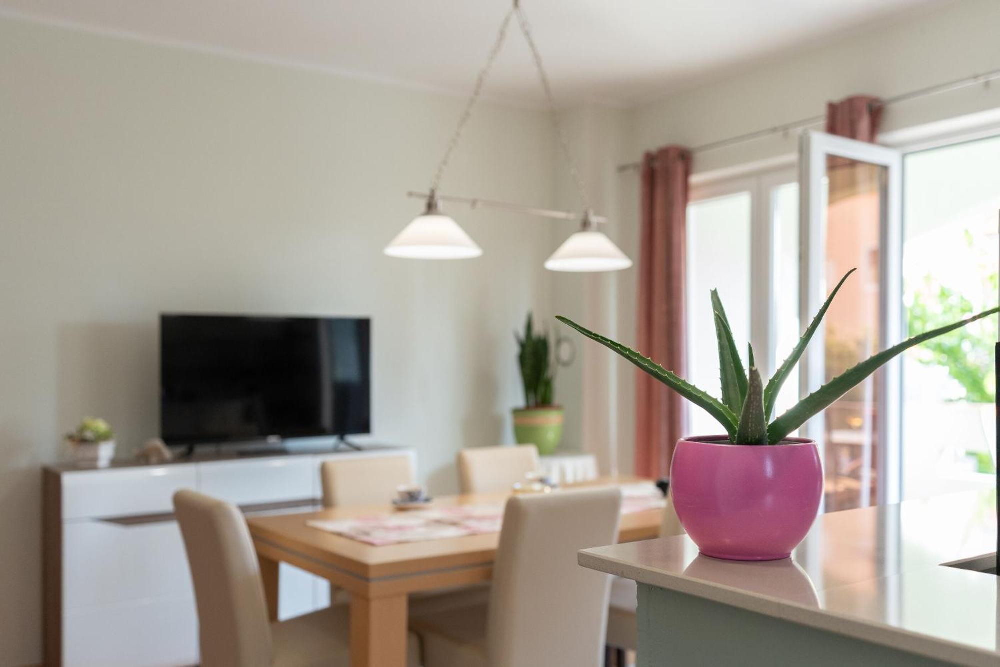 Apartments Jasna Novalja Eksteriør billede